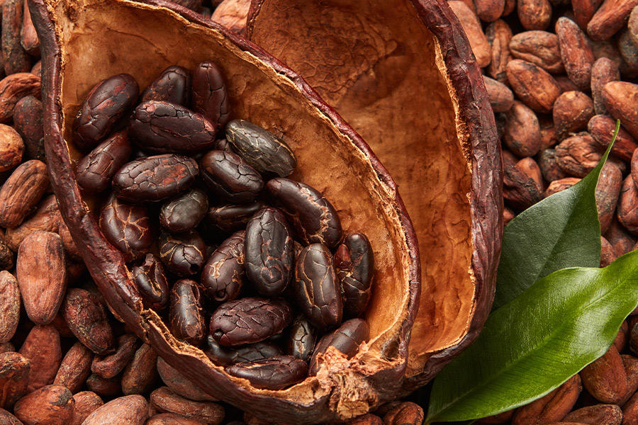 Favorable rainfall in West Africa keeps cocoa prices stressed