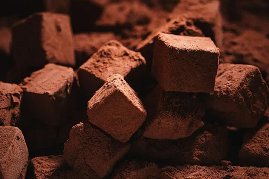 Seminar on Cocoa Liquor Processing Technology and Quality Improvement
