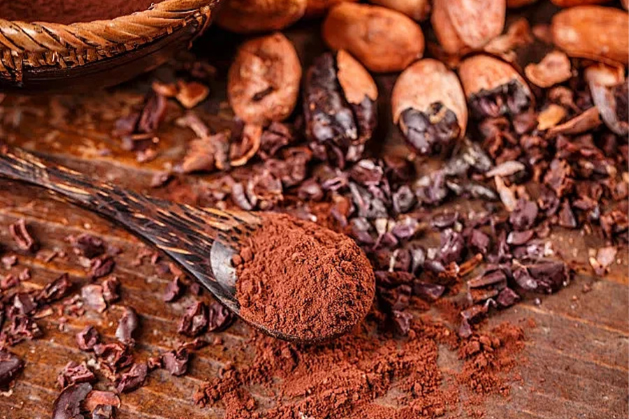 What new progress has domestic cocoa powder processing technology made in recent years?