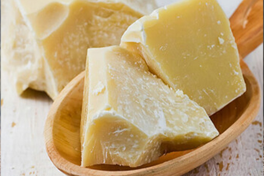 High-quality cocoa butter production technology and tasting exchange meeting